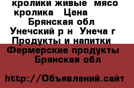 кролики живые, мясо кролика › Цена ­ 300 - Брянская обл., Унечский р-н, Унеча г. Продукты и напитки » Фермерские продукты   . Брянская обл.